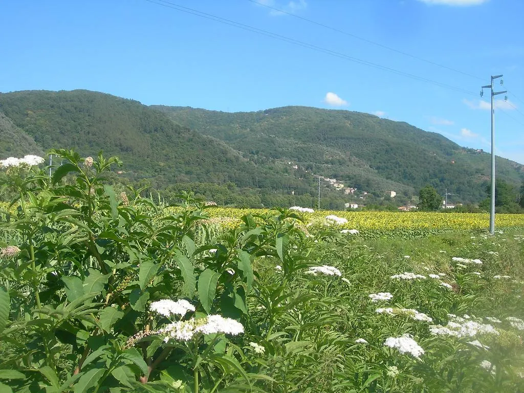 Appartamento La Rondine Lucca